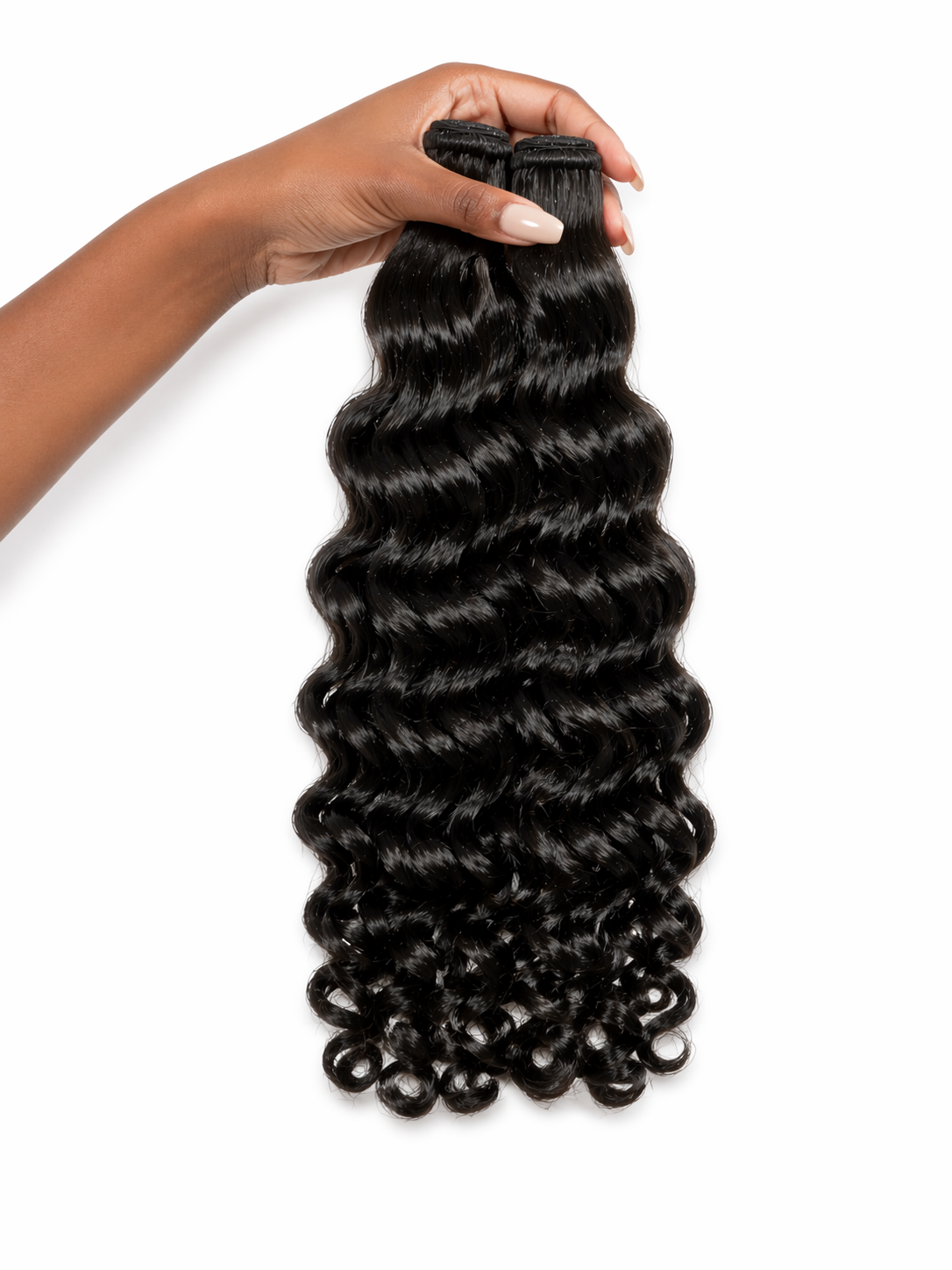 BURMESES CURLY 16 POUCES
