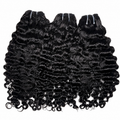 BURMESES CURLY 16 POUCES